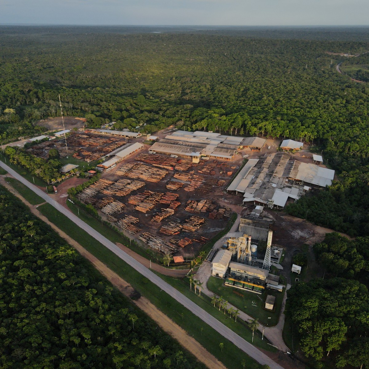 Estudo inédito comprova eficácia das concessões florestais