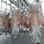 Frigorífico VPJ obtém certificação Halal para abate de cordeiro