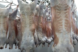 Frigorífico VPJ obtém certificação Halal para abate de cordeiro