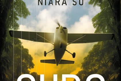 Garimpo ilegal na Amazônia: romance expõe dores e clamor espiritual