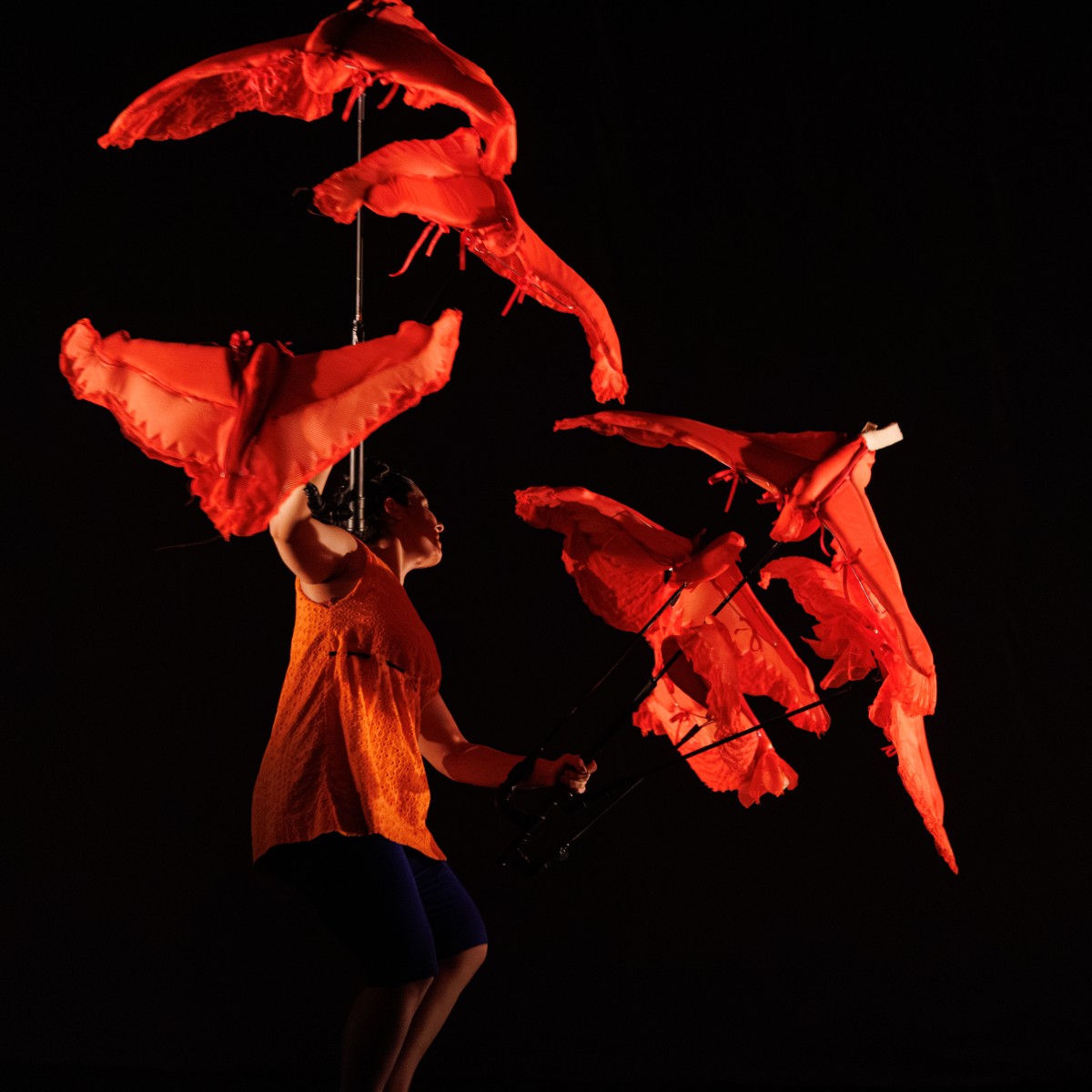 Maria em busca de Hovy: espetáculo infantil gratuito no YouTube