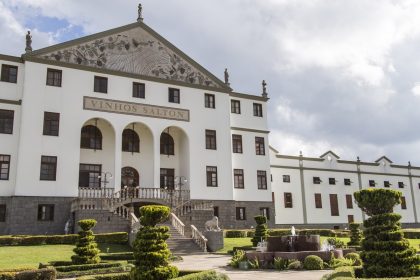 Salton Ouro Moscatel: eleito um dos 10 melhores do mundo