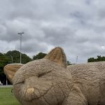 Ação 'Histórias Que Criam Laços' reúne 1.300 pessoas em SP