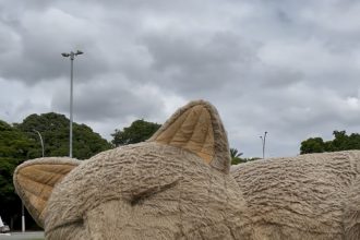 Ação 'Histórias Que Criam Laços' reúne 1.300 pessoas em SP