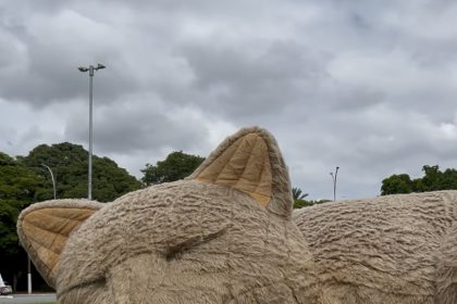 Ação 'Histórias Que Criam Laços' reúne 1.300 pessoas em SP