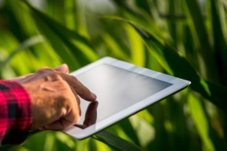 Agronegócio: falta de previsibilidade causa perdas de receita