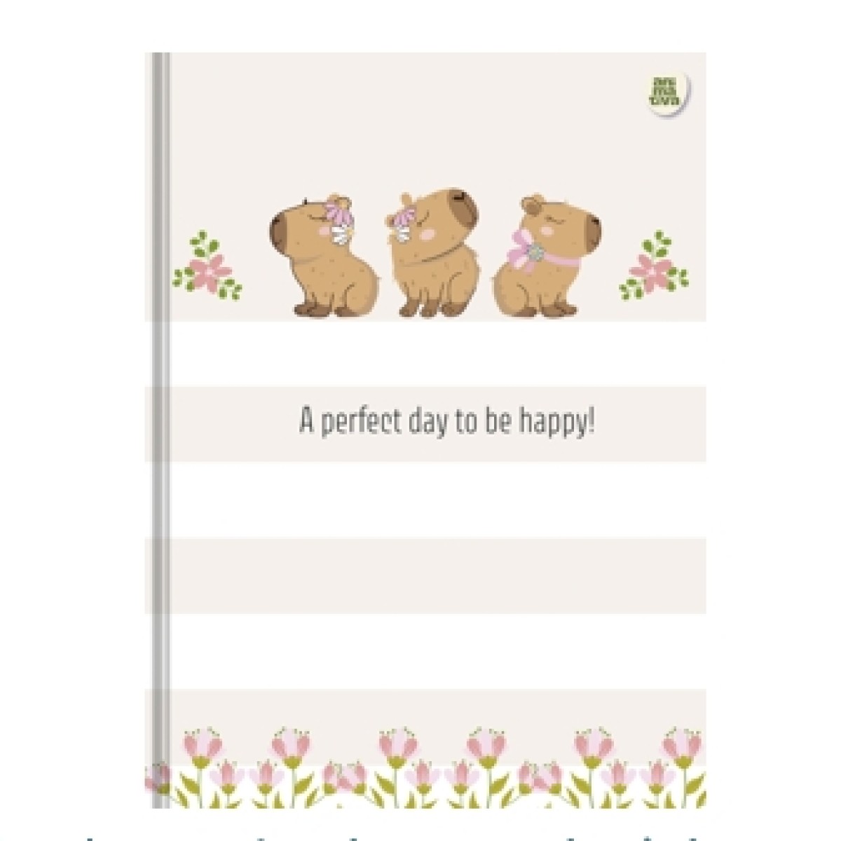 Animativa aposta em design e sensações para volta às aulas 2026