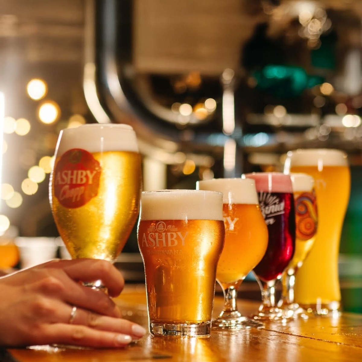 Cervejaria de SP ganha prêmios no Chile em competição cervejeira