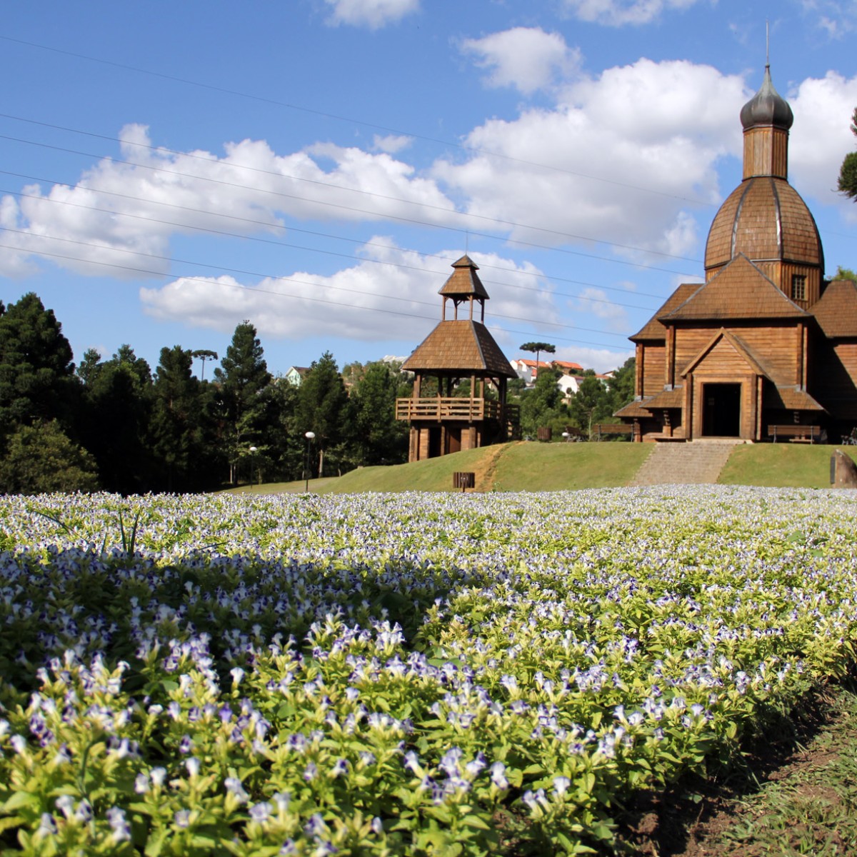 Curitiba: shows impulsionam turismo e batem recorde em 2026