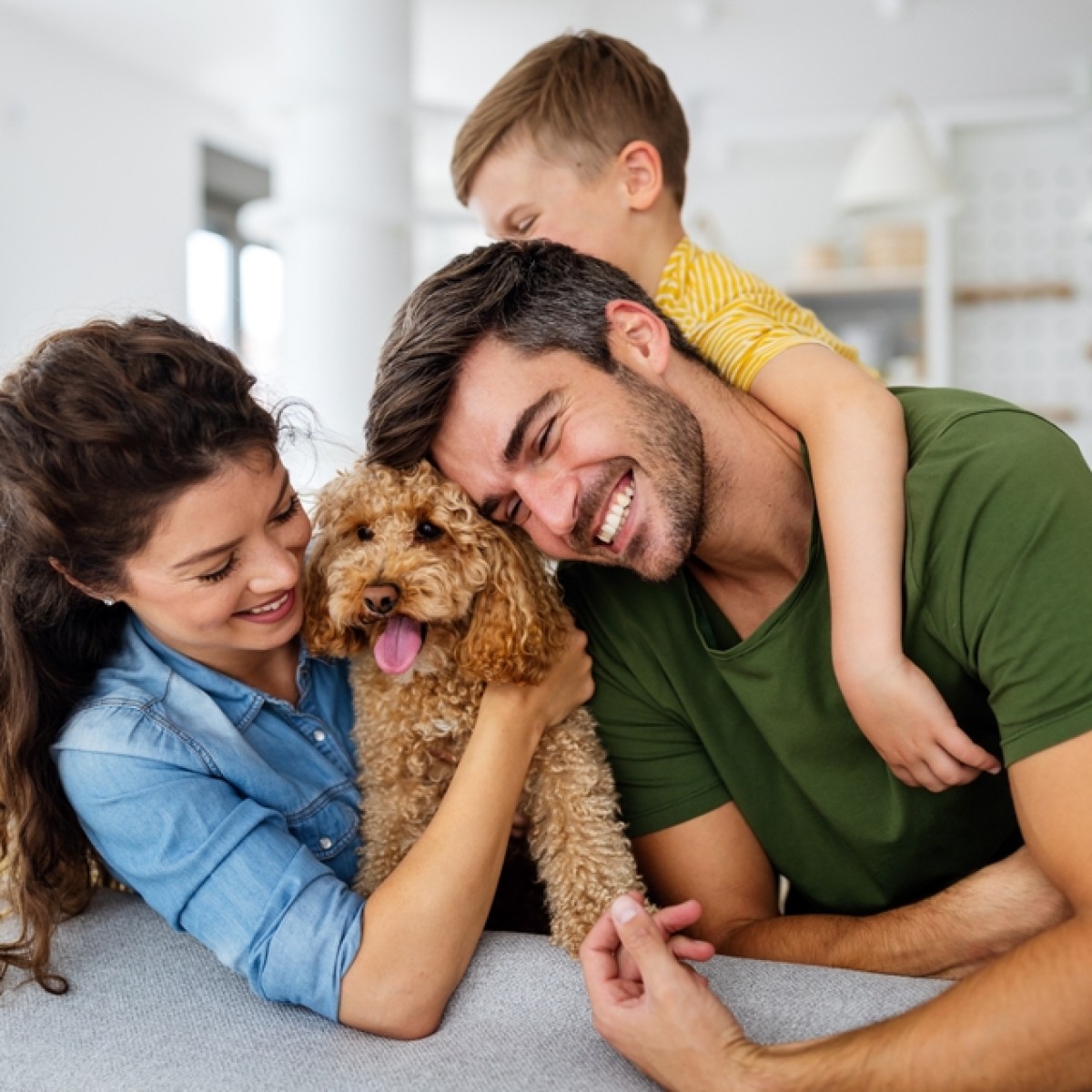 Janeiro Branco: Cobasi debate saúde mental de pets e humanos