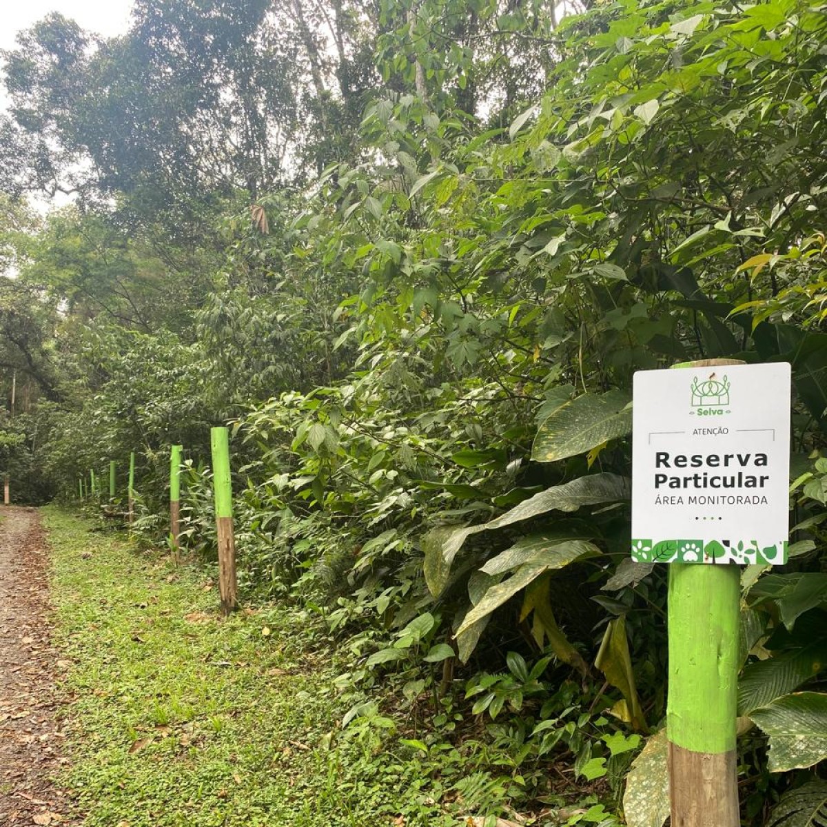 Paraná amplia conservação com 340 Reservas Particulares