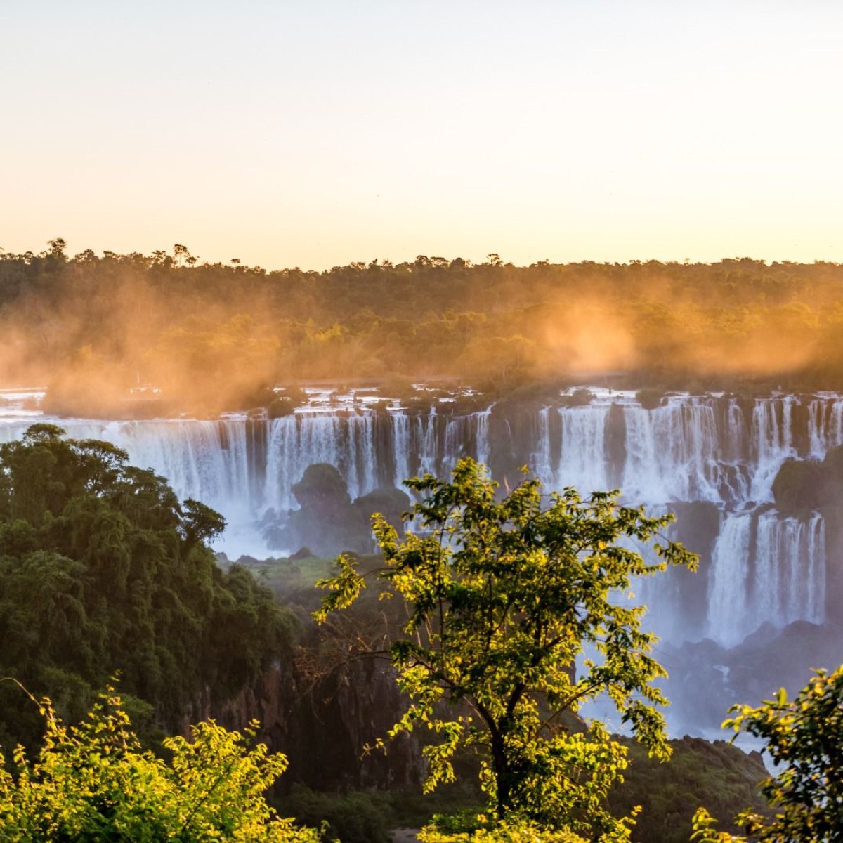 Parque Nacional do Iguaçu celebra 87 anos com programação especial