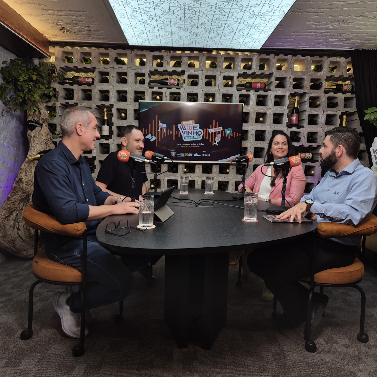 Podcast explora carreiras no mundo do vinho brasileiro