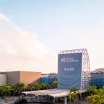 Road fecha 2025 com alta de 87% no faturamento e mira varejo