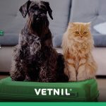 Vetnil®: dicas para viagens de férias tranquilas com pets
