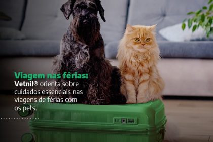 Viagem com pets: dicas da Vetnil para férias seguras