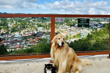 Campos do Jordão: Carnaval com descanso e experiências pet friendly