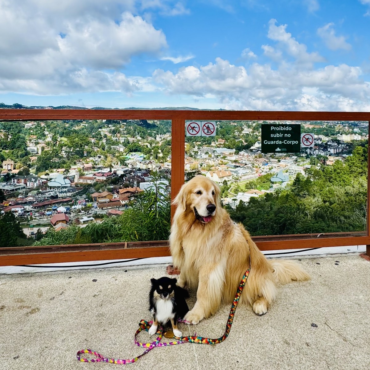 Campos do Jordão: Carnaval com descanso e experiências pet friendly
