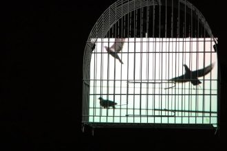 Eder Santos leva ‘A Imagem Não Serve’ à Caixa Cultural Curitiba