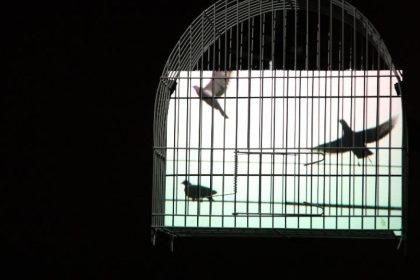 Eder Santos leva ‘A Imagem Não Serve’ à Caixa Cultural Curitiba