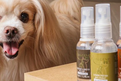 Empresa do PR impulsiona experiência 'pet friendly' em hotéis