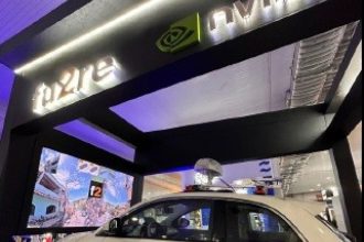 Startup cria solução para evitar quedas de árvores em temporais