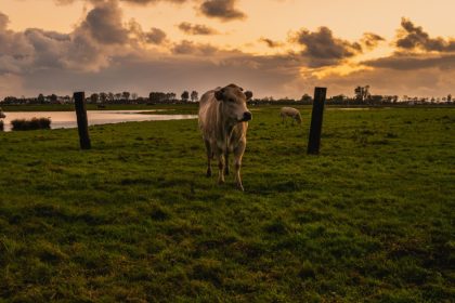Tecnologia no agro: ROI de campanhas dispara 35 vezes