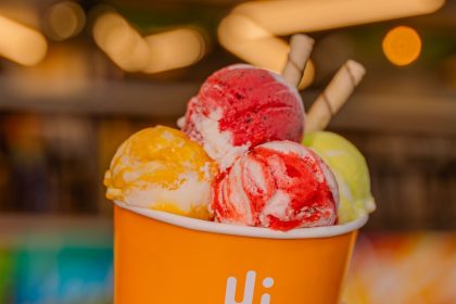 The Best Açaí lança frozen yogurt e amplia opções de consumo