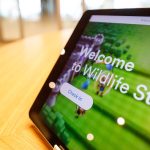 Wildlife Studios realiza hackathon para inovar em jogos mobile